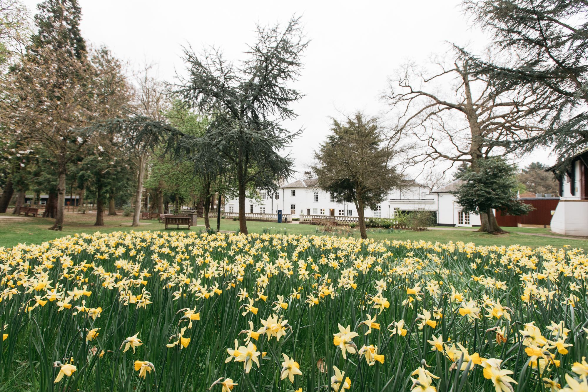 Gilwell Park Hotel Chingford Exterior photo